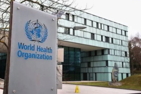 前方：世界卫生组织的“全球卫生部化”及启示