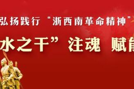 主发布人胡海峰 发布“浙西南革命精神”研究成果